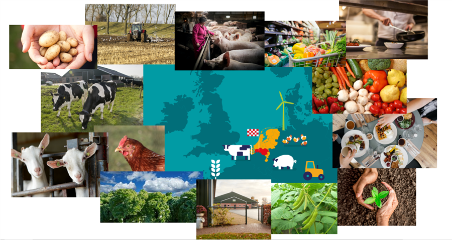 Bericht Brabant als innovatieve agrifoodregio bekijken